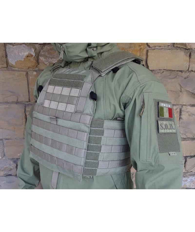 SOD SPECTRE ADP S PLATE CARRIER COLOR HCS