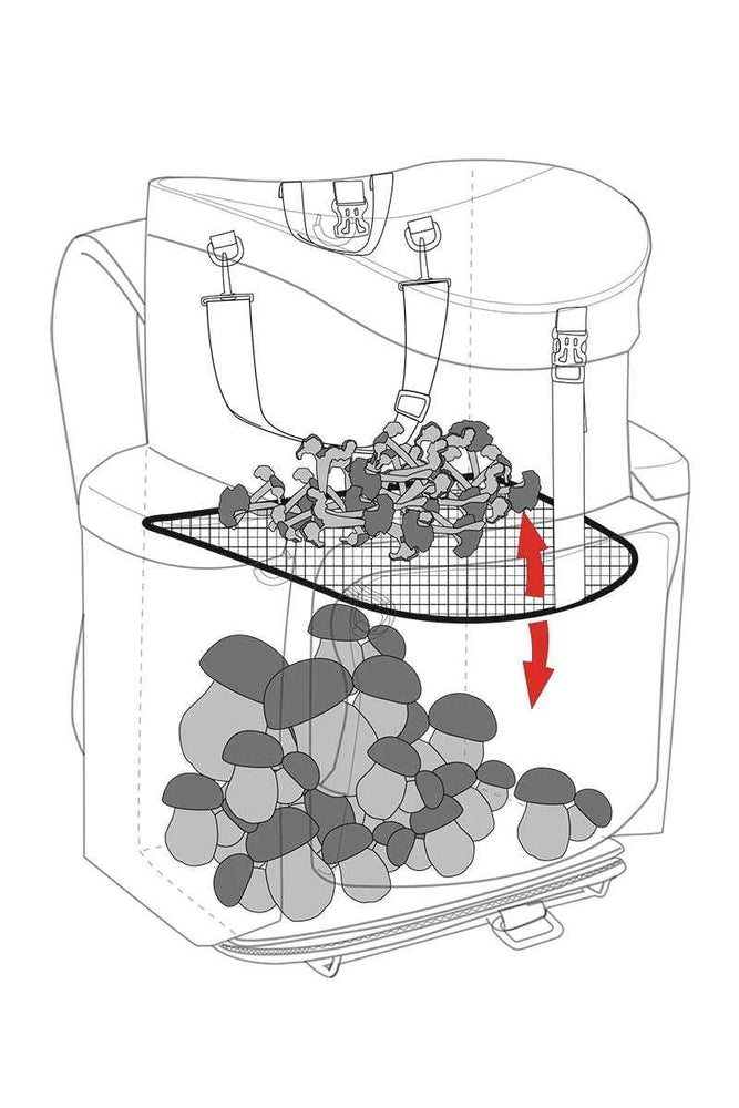 Mushroom backpack Forest 50 RF